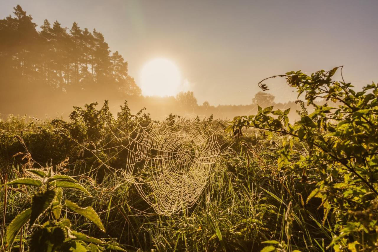Domki W Zaciszu Ruś Exteriér fotografie