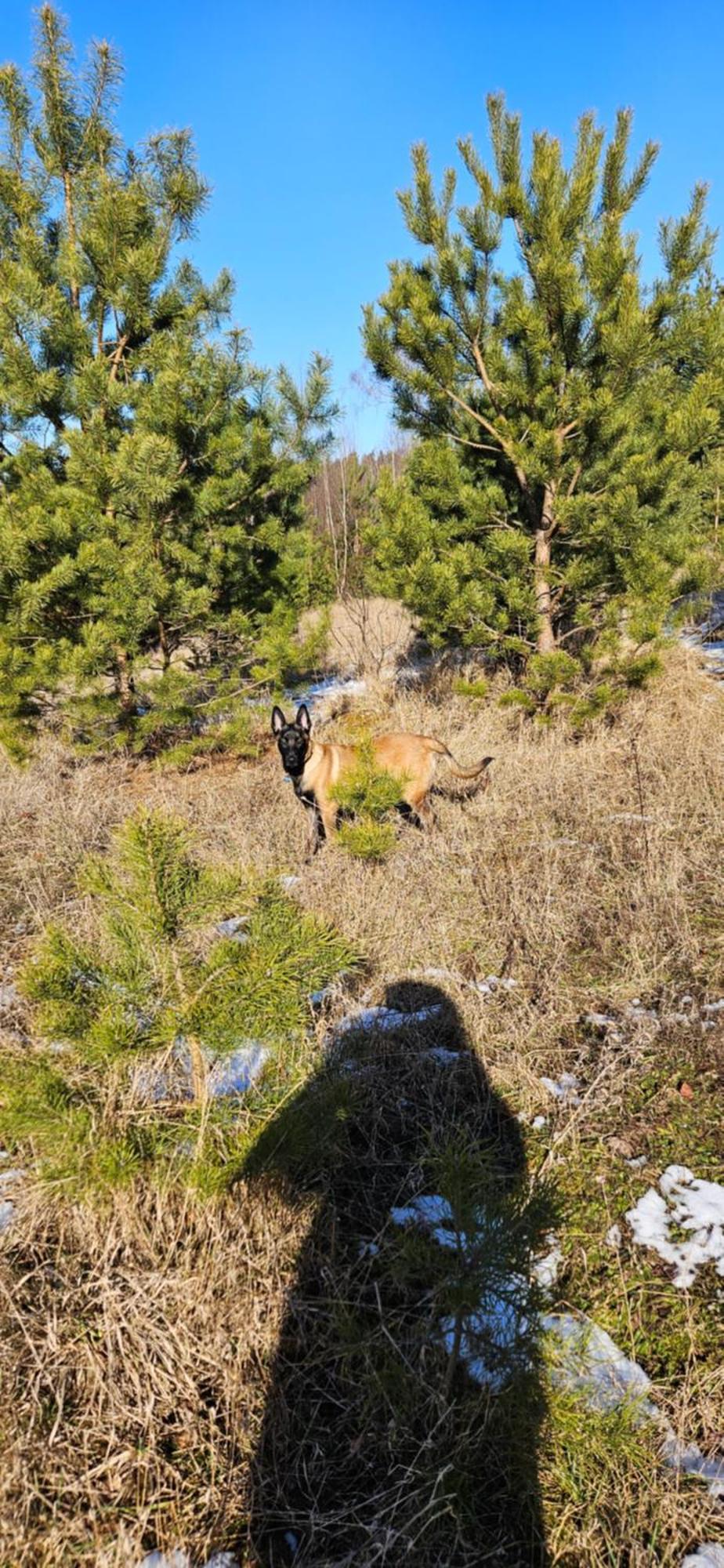 Domki W Zaciszu Ruś Exteriér fotografie