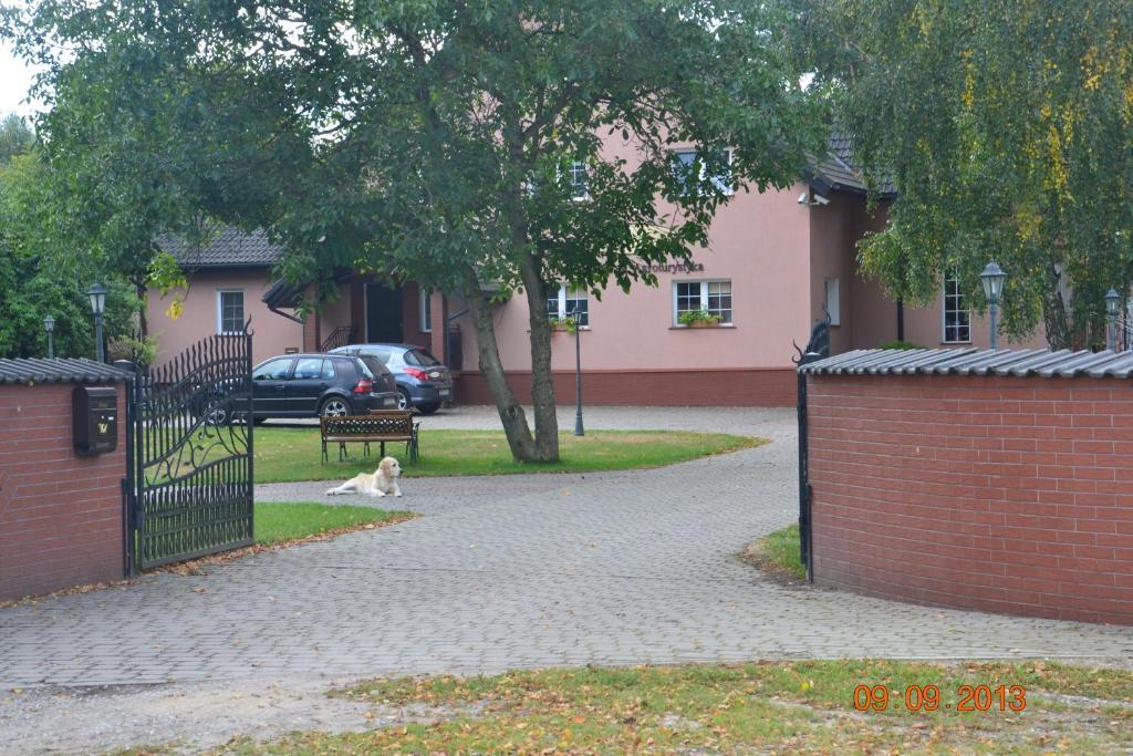 Domki W Zaciszu Ruś Pokoj fotografie